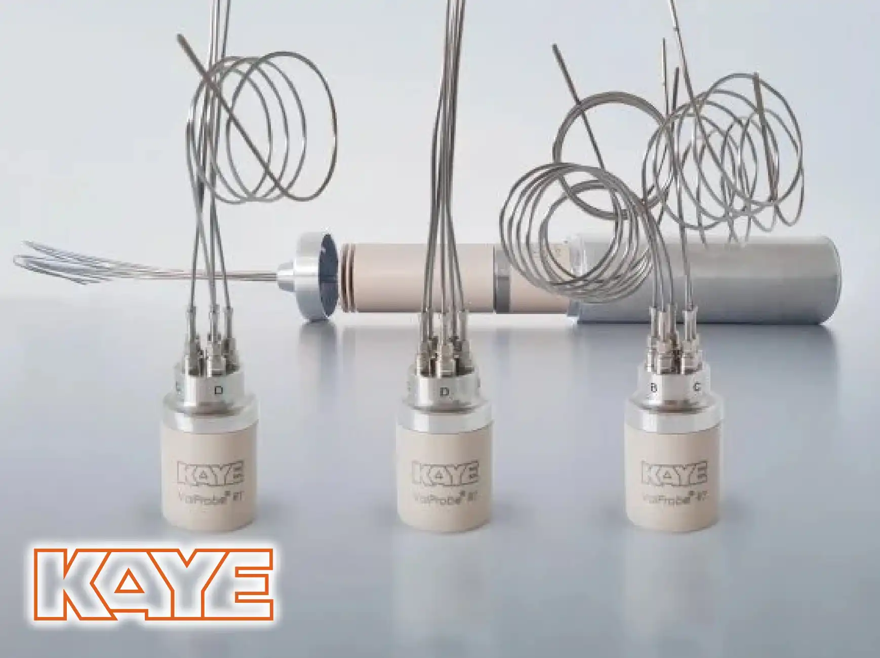 KAYE Wireless (RF) ValProbe RT System.